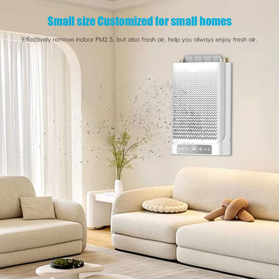 Good price Qualità dell'aria Purificatore d'aria domestico Umidificatore H12 HEPA Personalizzato per fumatori al chiuso in linea
