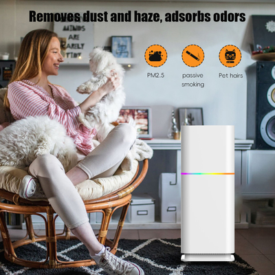 Good price Purificatore di polvere per ambienti residenziali 240V per PM2.5 in linea