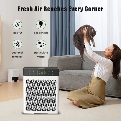 Good price OEM Dehumidificatore e Purificatore d'aria per interni Deodorante per urina di gatto e cane in linea