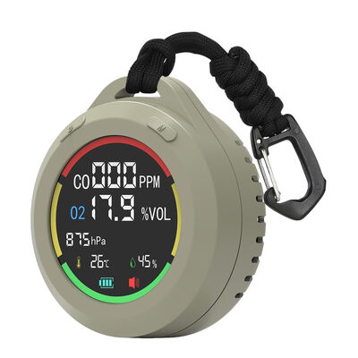 Un buon prezzo. Allarme CO con sensore elettrochimico PT08 - Allarme sonoro-luminoso portatile, 300-1100hPa per casa/garage/camper in linea